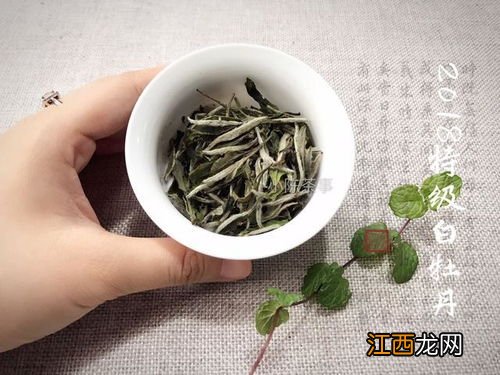 好白茶怎么鉴定