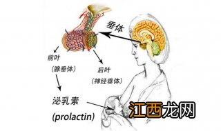 泌乳素高不孕怎么办