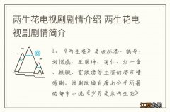 两生花电视剧剧情介绍 两生花电视剧剧情简介