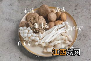 菌子要煮多久