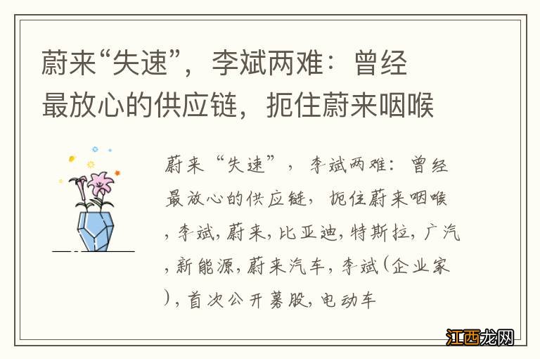 蔚来“失速”，李斌两难：曾经最放心的供应链，扼住蔚来咽喉