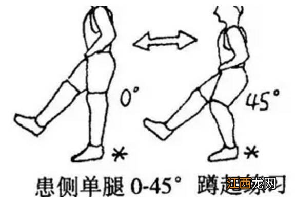 下肢的肌力训练方法 下肢的肌力训练怎么做呢