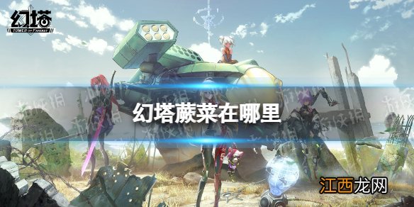 幻塔蕨菜在哪 幻塔蕨菜位置分布