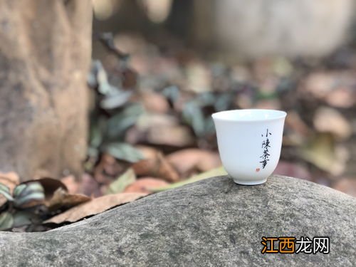 怎么认识茶叶