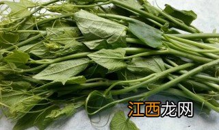 孕妇可以吃龙须菜吗? 孕妇可以吃龙须菜吗