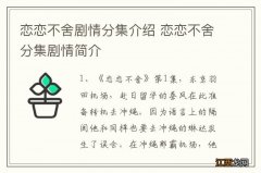 恋恋不舍剧情分集介绍 恋恋不舍分集剧情简介