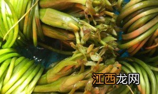 海菜花的做法步骤 海菜花的制作方法