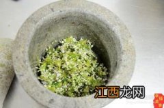 自制的菊花水能泡多久