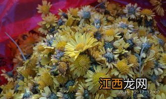 自制的菊花水能泡多久