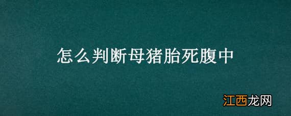 母猪胎死腹中的表现 怎么判断母猪胎死腹中