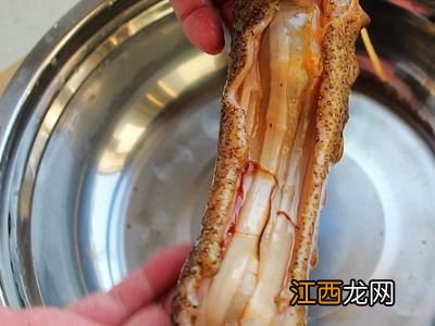 鲜海参怎么处理保存多久