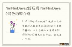 NinNinDays2好玩吗 NinNinDays2特色内容介绍