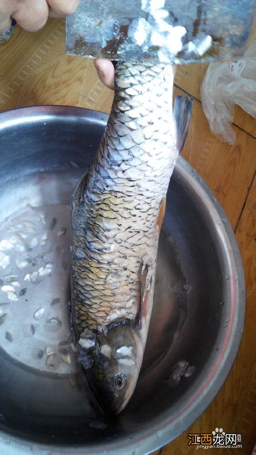 草鱼孕妇吃怎么做好吃吗