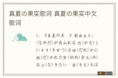 真夏の果实歌词 真夏の果实中文歌词