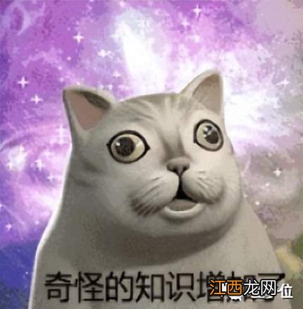 偶然当程序员却拿下图灵奖，超算榜单之父讲述人生开挂经历