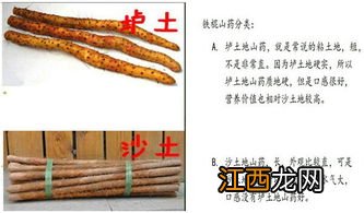 怎么区分山药片的好坏