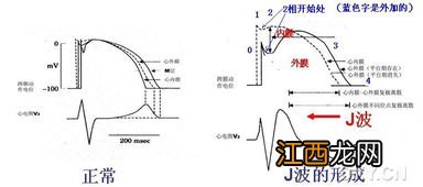 点波漂原理是什么