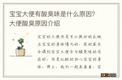 宝宝大便有酸臭味是什么原因？大便酸臭原因介绍