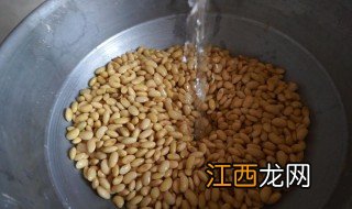 豆腐用黄豆怎么做 用黄豆做豆腐方法介绍