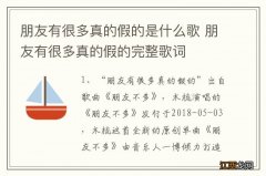 朋友有很多真的假的是什么歌 朋友有很多真的假的完整歌词