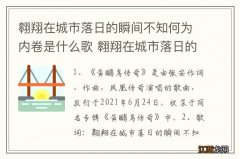 翱翔在城市落日的瞬间不知何为内卷是什么歌 翱翔在城市落日的瞬间歌曲介绍