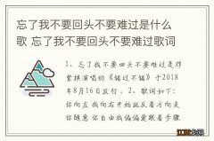 忘了我不要回头不要难过是什么歌 忘了我不要回头不要难过歌词原文