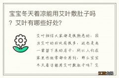 宝宝冬天着凉能用艾叶敷肚子吗？艾叶有哪些好处？