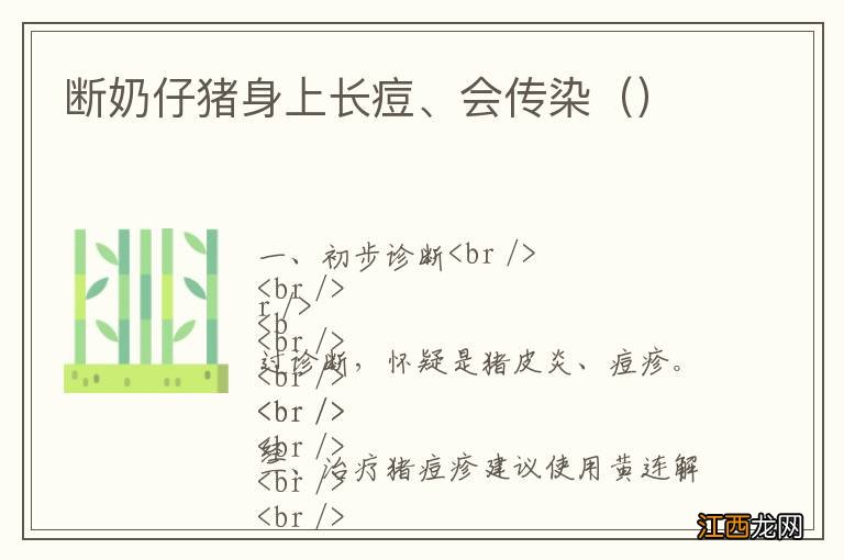 断奶仔猪身上长痘、会传染