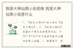 我是大神仙原小说是啥 我是大神仙原小说是什么