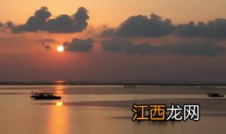 江苏高邮最美生态湿地——高邮湖芦苇荡湿地公园