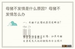 母猪不发情是什么原因？母猪不发情怎么办