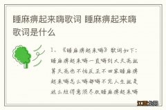 睡麻痹起来嗨歌词 睡麻痹起来嗨歌词是什么