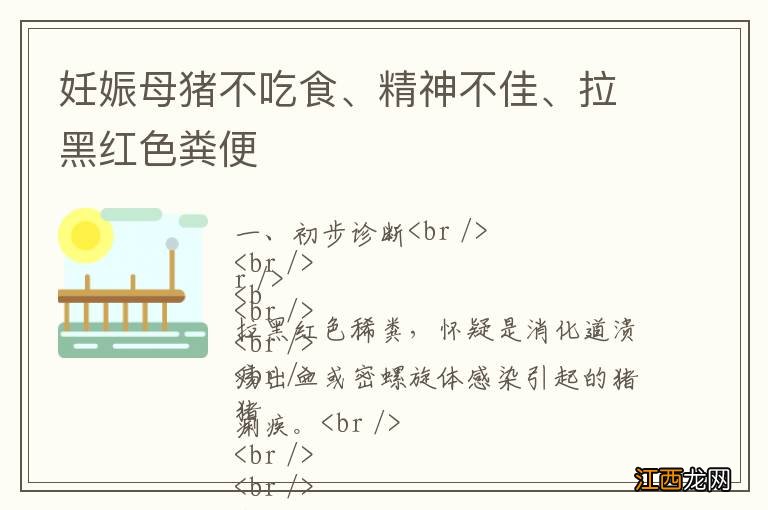 妊娠母猪不吃食、精神不佳、拉黑红色粪便