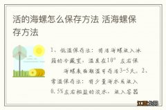 活的海螺怎么保存方法 活海螺保存方法