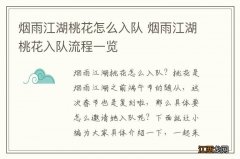 烟雨江湖桃花怎么入队 烟雨江湖桃花入队流程一览