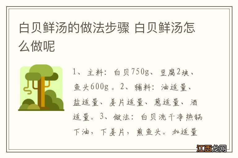白贝鲜汤的做法步骤 白贝鲜汤怎么做呢