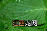 失眠最好的治疗方法