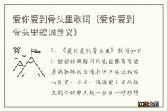 爱你爱到骨头里歌词含义 爱你爱到骨头里歌词