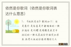 依然是你歌词表达什么意思 依然是你歌词