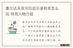 塞尔达无双灾厄启示录林克怎么玩 林克人物介绍