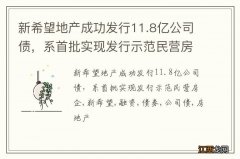 新希望地产成功发行11.8亿公司债，系首批实现发行示范民营房企