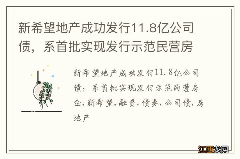 新希望地产成功发行11.8亿公司债，系首批实现发行示范民营房企