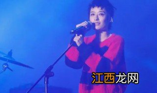 会飞的贼歌词 会飞的贼歌词寓意