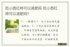 吃小西红柿可以减肥吗 吃小西红柿可以减肥吗?