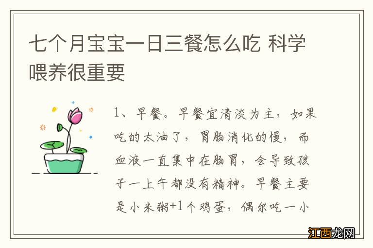 七个月宝宝一日三餐怎么吃 科学喂养很重要