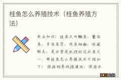 桂鱼养殖方法 桂鱼怎么养殖技术