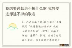 我想要逃却逃不掉什么歌 我想要逃却逃不掉的歌名