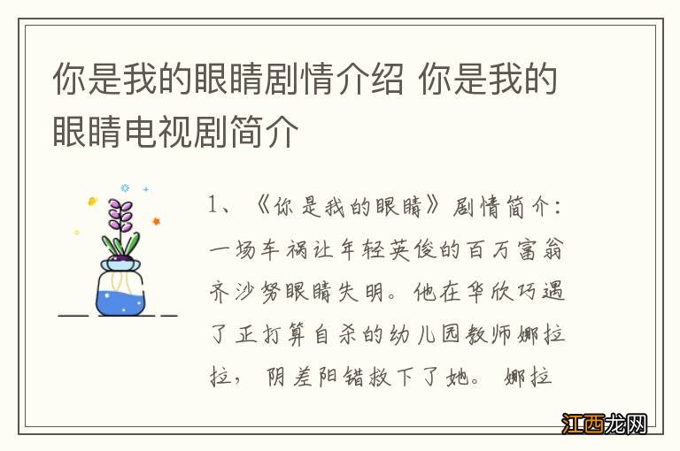 你是我的眼睛剧情介绍 你是我的眼睛电视剧简介