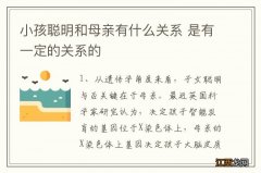 小孩聪明和母亲有什么关系 是有一定的关系的