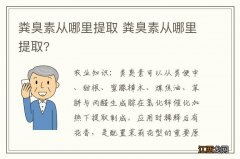 粪臭素从哪里提取 粪臭素从哪里提取?